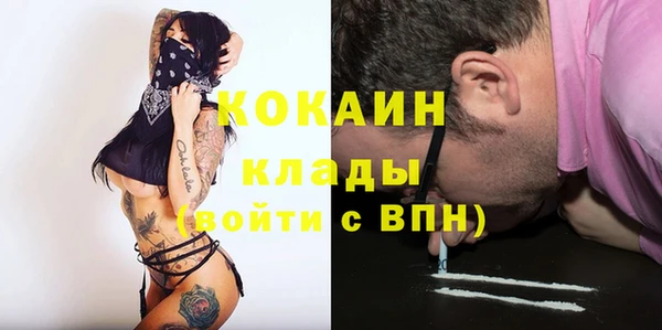 ПСИЛОЦИБИНОВЫЕ ГРИБЫ Осинники