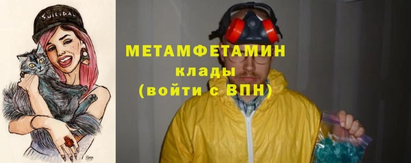 ПСИЛОЦИБИНОВЫЕ ГРИБЫ Осинники