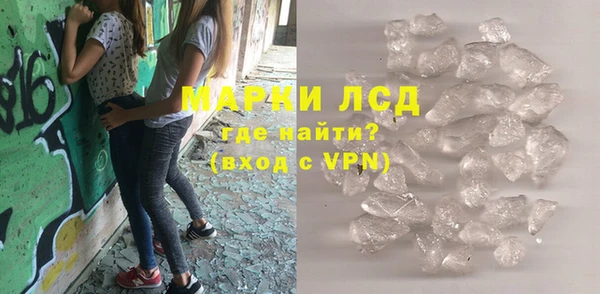 ПСИЛОЦИБИНОВЫЕ ГРИБЫ Осинники