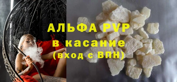 стафф Осташков