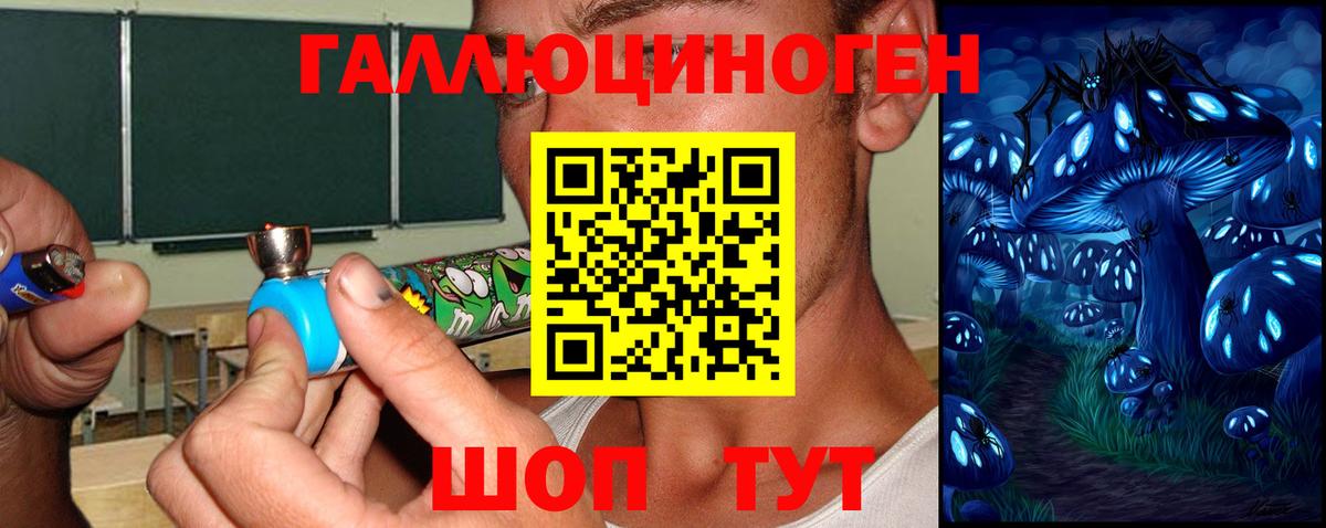 Заинск  Галлюциногенные грибы GOLDEN TEACHER  Вход с VPN 